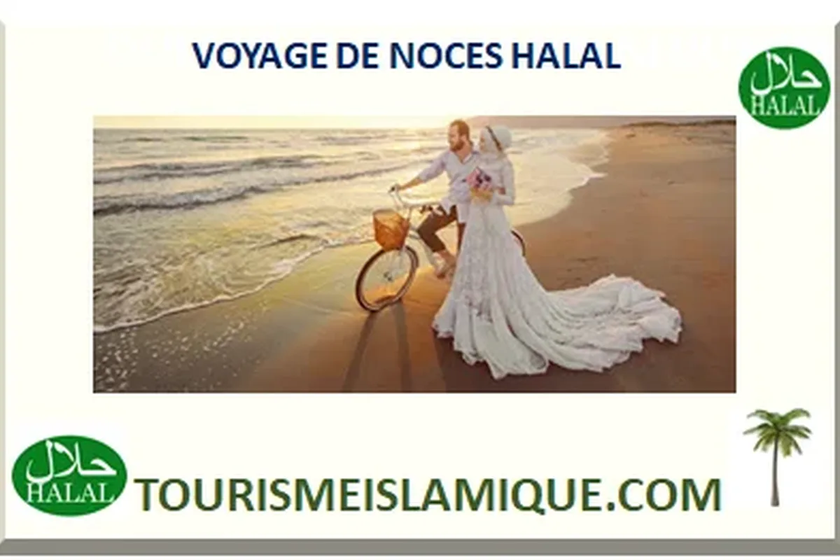 Nouvelle-Zélande : guide pratique du voyage halal, de Wellington à Christchurch