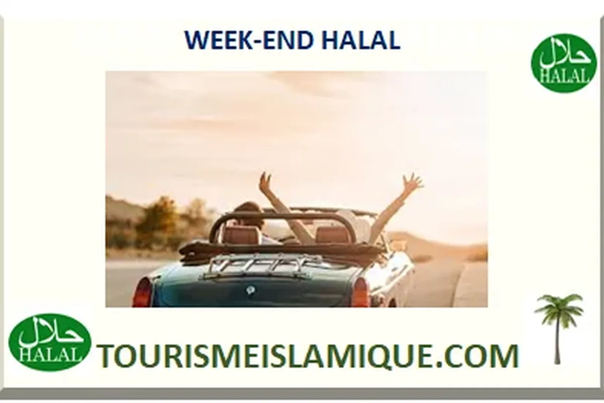 Muslim-friendly hotels in New Zealand: choosing and verifying a stay